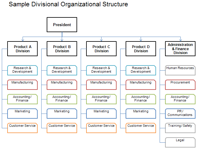 divisional structure definition