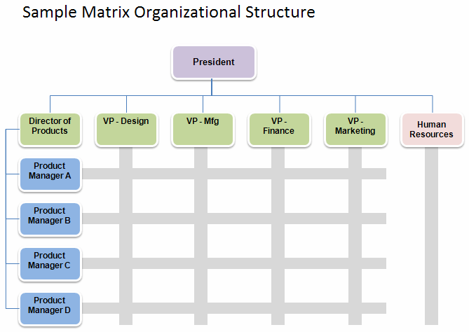 Matrix Organizations